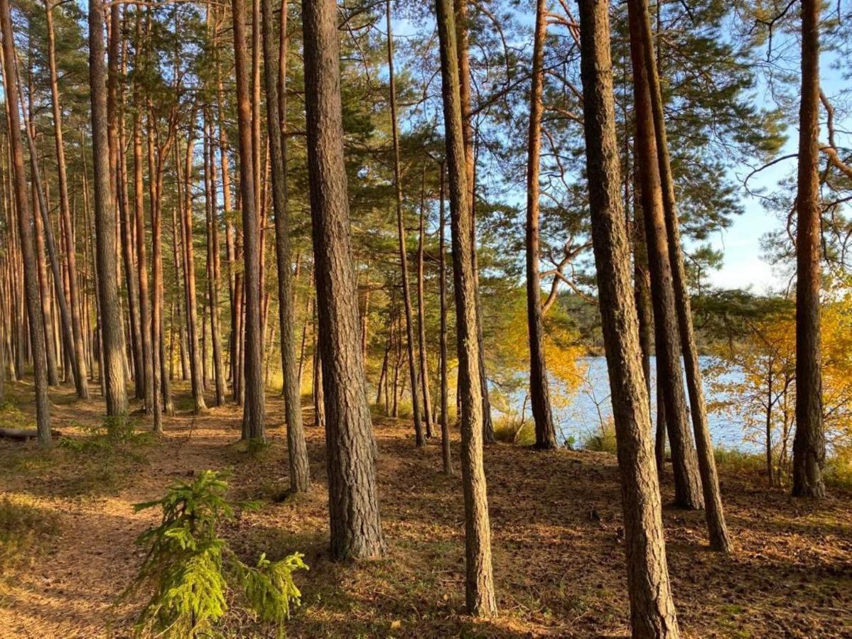 Kuelalistemaja Vehendi Motell Экстерьер фото